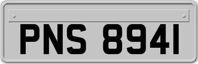 PNS8941