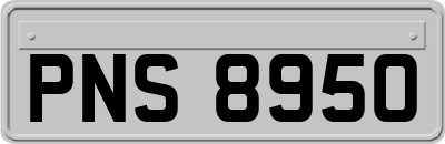 PNS8950