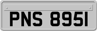 PNS8951