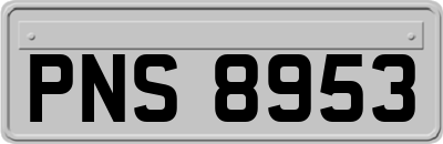 PNS8953