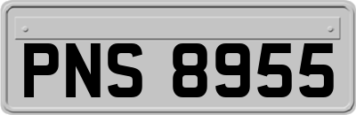 PNS8955