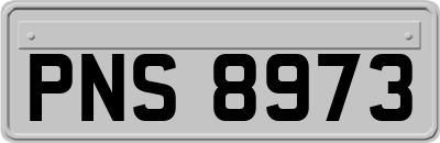 PNS8973