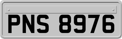 PNS8976