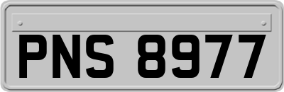 PNS8977