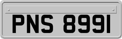 PNS8991
