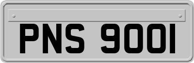 PNS9001
