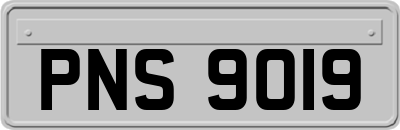 PNS9019