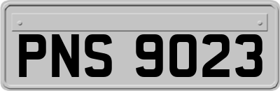PNS9023