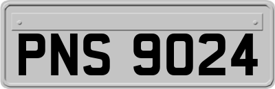 PNS9024