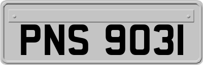 PNS9031