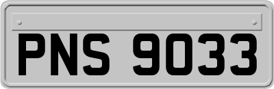 PNS9033