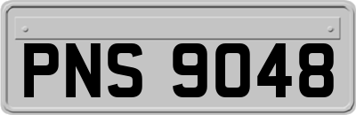 PNS9048