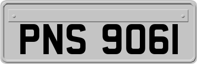 PNS9061