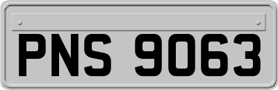 PNS9063