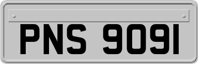 PNS9091