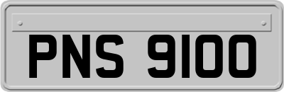 PNS9100