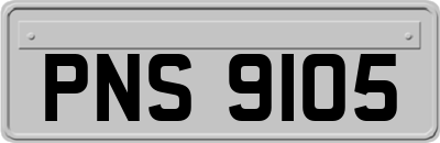 PNS9105