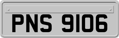 PNS9106