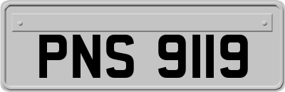 PNS9119