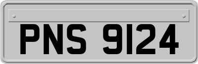 PNS9124