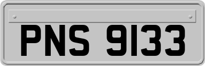 PNS9133