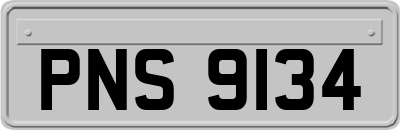 PNS9134