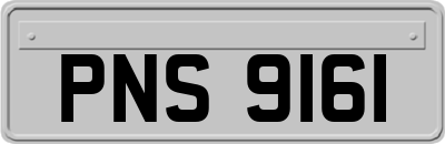 PNS9161