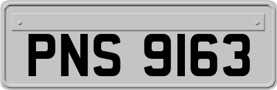 PNS9163