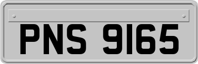 PNS9165
