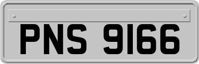 PNS9166