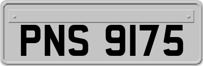 PNS9175