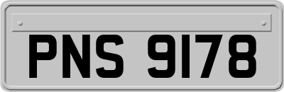 PNS9178