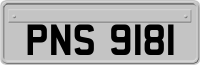 PNS9181