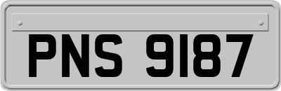 PNS9187