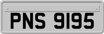 PNS9195