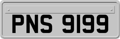 PNS9199
