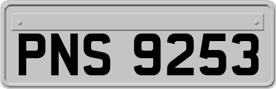 PNS9253