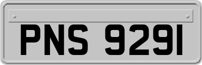 PNS9291