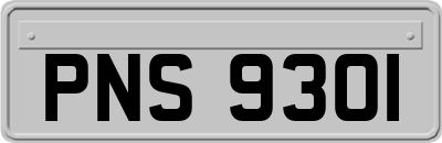 PNS9301