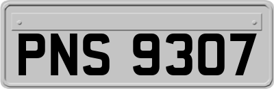 PNS9307