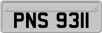 PNS9311