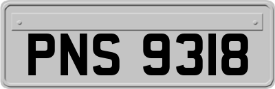 PNS9318