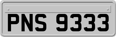 PNS9333