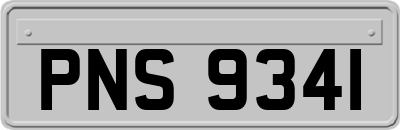 PNS9341