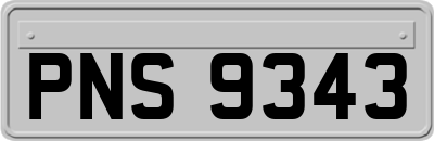 PNS9343