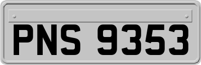 PNS9353