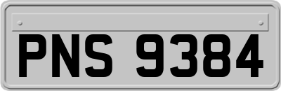 PNS9384