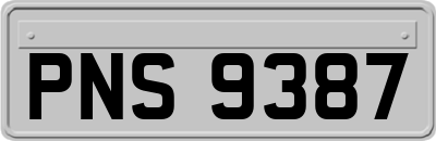 PNS9387
