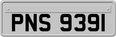 PNS9391