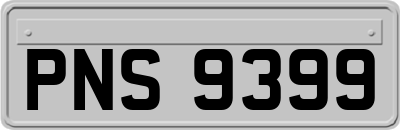 PNS9399